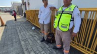 Atrasan pagos a empleados de seguridad en la ASIPONA Veracruz por supuesto hackeo