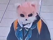 VIDEO: Mujer con máscara de gato intenta asaltar tienda en Corea del Sur