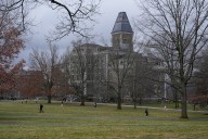 Students at Ivy League school kill bear, then skin it inside their dorm
