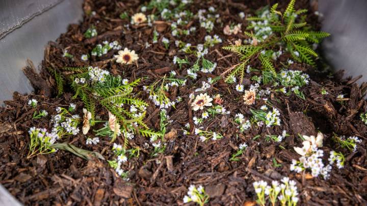 Human composting signed into law in NJ
