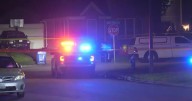 Girl becomes orphan after dad kills mum and then himself in tragic murder