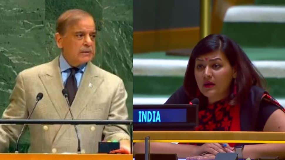 India Accuses Pakistan PM Shehbaz Sharif Of Glorifying Terrorism At UN, Calls Remarks 'Absurd Theatrics'