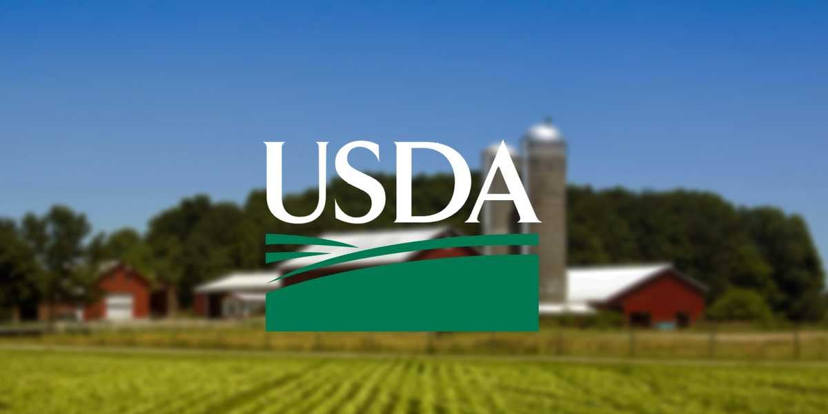 East Texas livestock producers eligible for USDA assistance due to flooding
