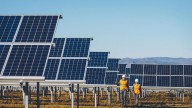 La cebolla roja, inesperada alternativa fiable para proteger los paneles solares sin plástico