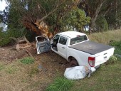 Era veterinario. Iba en camioneta a Miramar, perdió el control, chocó contra un árbol y murió una semana después