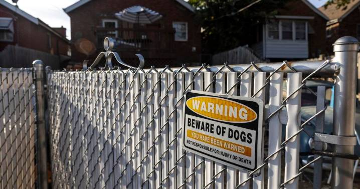 St. Louis prosecutors drop animal abuse charges