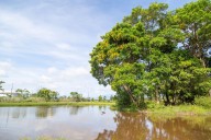 Ecopetrol tendrá cinco nuevas Ecoreservas en Casanare, Boyacá y Santander