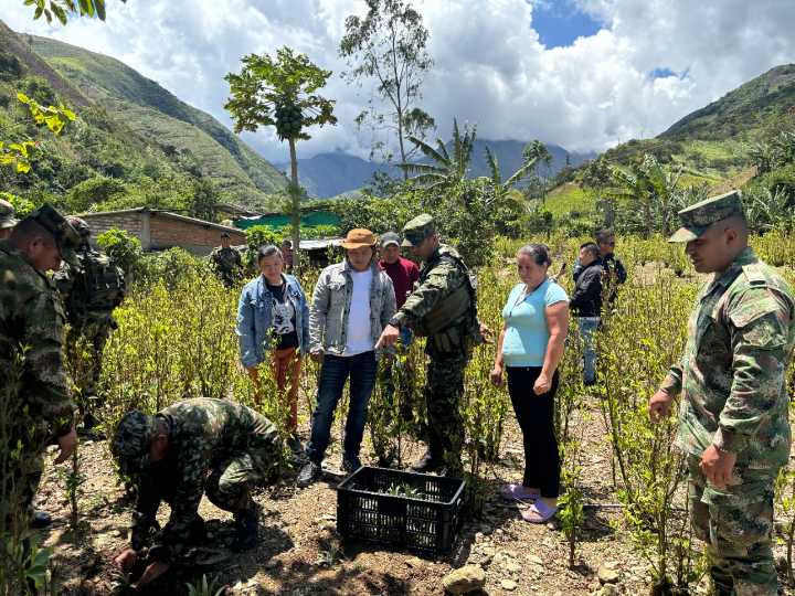Obstáculos en controlar zonas de producción de coca, avances limitados en inversión social