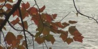Fall allergy season: Prevention tips from Fort Wayne nurse practitioner
