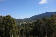 Parque Nacional El Chico: ¿Cuál es el avance del saneamiento del bosque?