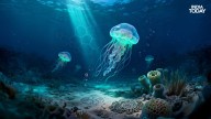 First animal that appeared on Earth, long before dinosaurs, discovered