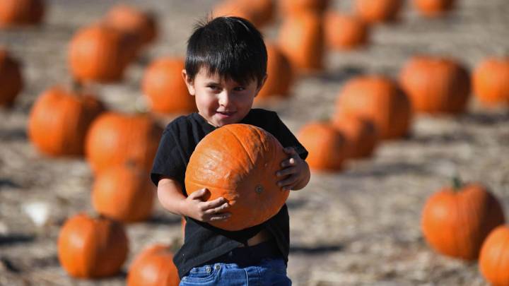When do corn mazes start near Reno? Here’s your fall guide