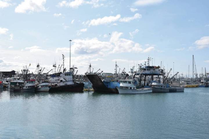 Preliminary testing finds high levels of paralytic shellfish toxins in Kachemak Bay blue mussels