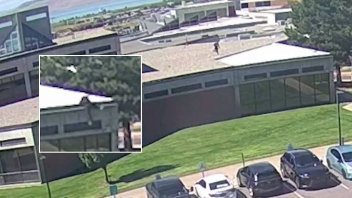WATCH: Suspected Kirk Shooter Jumps From Rooftop in Newly Revealed Footage