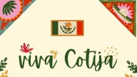 Suspenden carrera de burro y cerdo encebado en Fiestas Patrias de Cotija