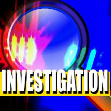 Livingston Sheriff looking for individuals that ditched a stolen car in Ledbetter