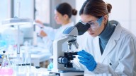 Guía para no perderse nada de La Noche Europea de los Investigadores en Madrid