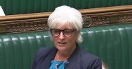 Devon’s SEND playbook echoed in fresh Westminster overhaul bid