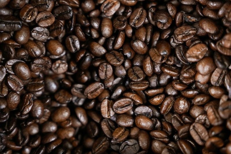 Exporting Brazilian coffee beans to US via third countries not an option, industry says