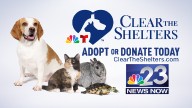Clear the Shelters 2025: Hundreds of pets find their forever home