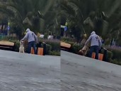 Evidencian en VIDEO maltrato a un perro en un jardín en Pachuca