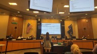 Reno council takes first step to allow 'granny flats'