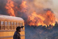 MOVIES: The best one yet about those wildfires; a long but biting look at America and more