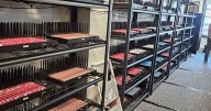 Six key questions about the dismantled network capable of crippling New York’s cell system