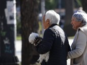 Comenzó el pago del aguinaldo de Fiestas Patrias para pensionados: beneficio es de $25.280 por persona
