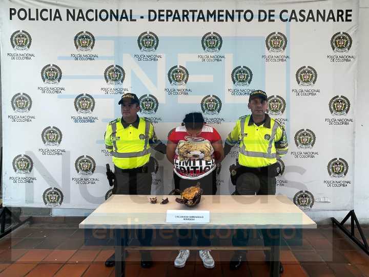 La capturaron por llevar en una maleta una morrocoya y sus crias