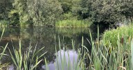 ‘Phantom cr*pper’ leaves Greater Manchester country park users disgusted