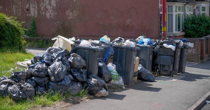 Fury as more than two million people to get bin collections every three weeks