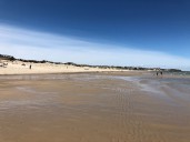 High bacteria levels at Mass. beaches? Here’s why we don’t know