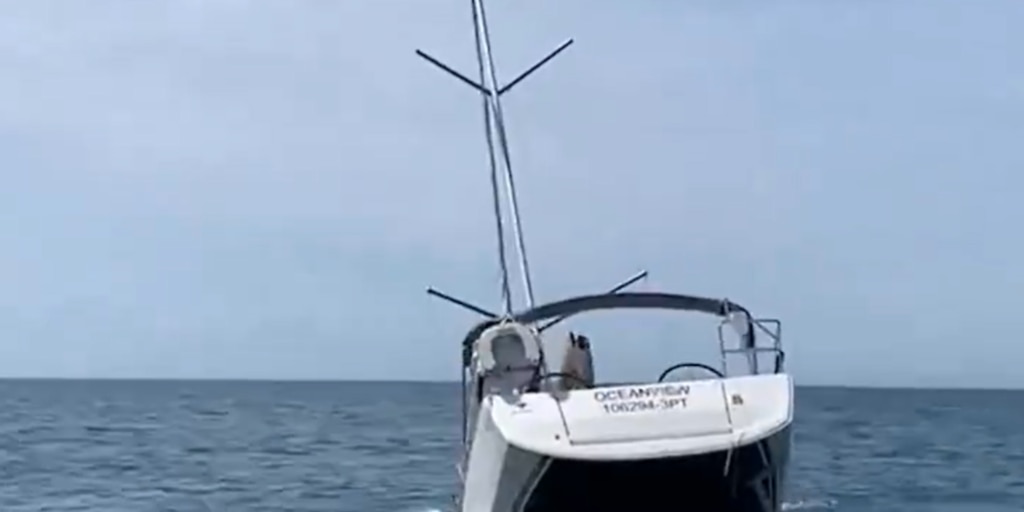 Varias orcas hunden un yate frente a la costa portuguesa: “Dos o tres golpes, suficientes para romper el casco”