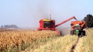 Exportaciones de la agroindustria generaron más de US$32 mil millones en ocho meses