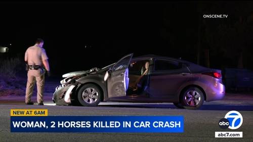 Woman, 2 horses killed in Riverside County crash