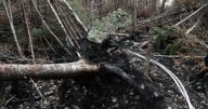 Long Lake wildfire: West Dalhousie, N.S., state of emergency extended