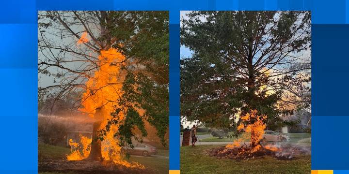 Crews working to repair gas line struck by lightning in Lenoir City, LCUB says