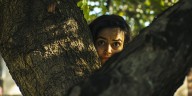 Tips Jurídicos: ¿hasta dónde puede crecer el árbol del vecino?