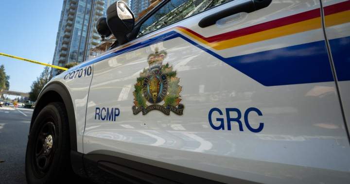 Woman dead in Saskatchewan after police say shot was fired at SUV on highway
