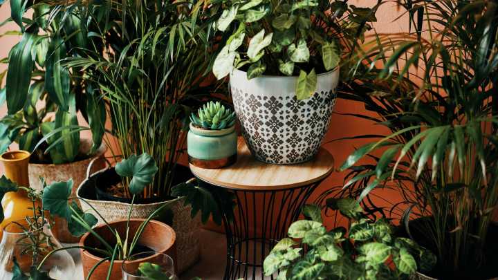 DIY A Stylish Plant Stand With A Few Affordable Repurposed Household Materials