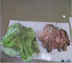 Solicita FEM colaboración para identificar los cuerpos de dos mujeres que se mantienen bajo resguardo del Semefo