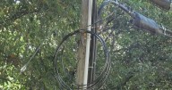 Why a Sacramento homeowner is seeking clarity after city tree knocked out power line