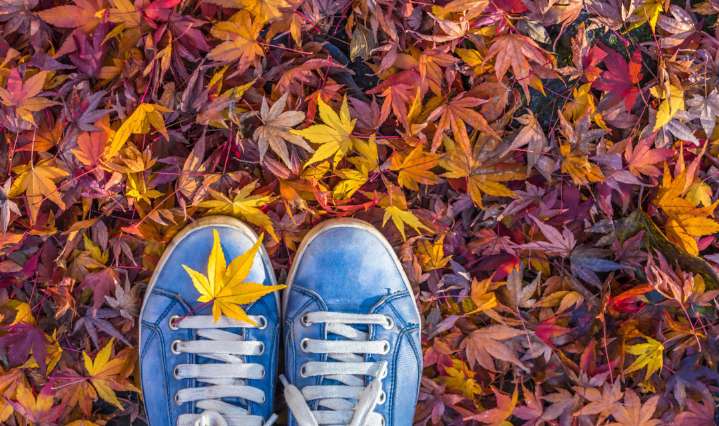 Equinoccio de otoño 2025: fecha, hora exacta y cuánto dura la estación