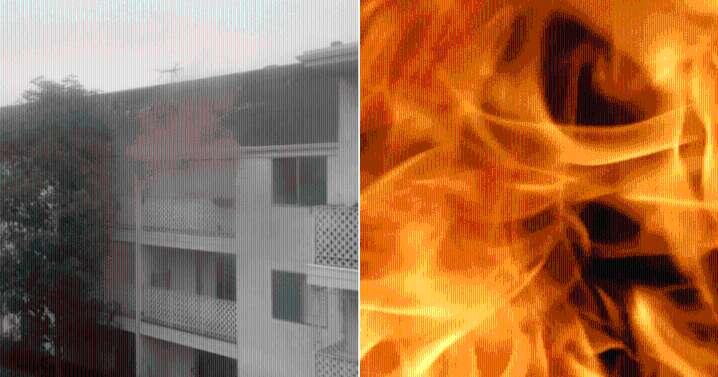 Horrific Blaze in Long Beach Leaves Dozens of Cats and a Dog Dead