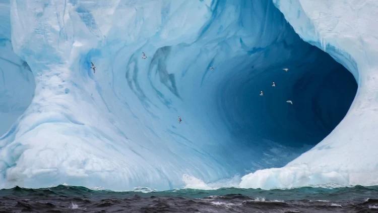 Un Enigma Oscuro en el Hielo: El Objeto de la Antártida que Cautiva las Redes