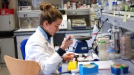 La UCLM, entre las 20 primeras universidades en captación de fondos de investigación