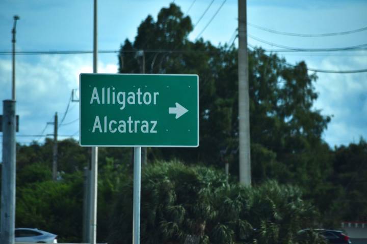 Migrantes : desaparecen en Alligator Alcatraz, familias denuncian