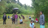 Mayabunder Forest Division Organizes Beach Clean-Up and Mass Plantation Drive