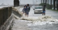 Transportation tax could pay for part of Charleston seawall